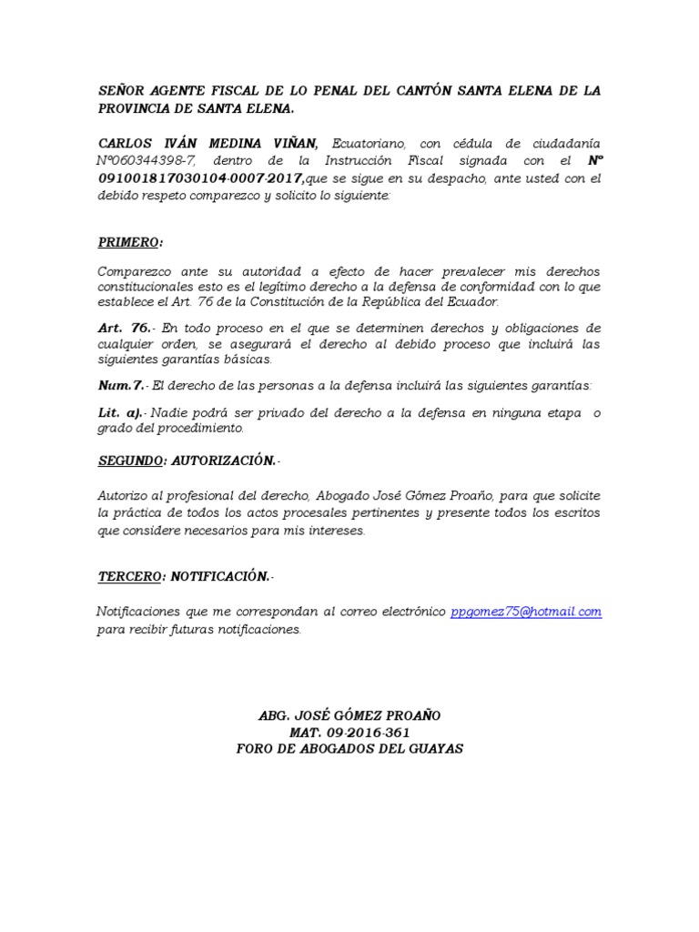 Modelo Señalar Casillero Judicial Autorización Penal PDF