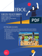 Volleyball