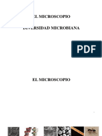 El Microscopio - Diversidad Microbiana