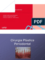 Aula 12 - Cirurgia Plástica Periodontal