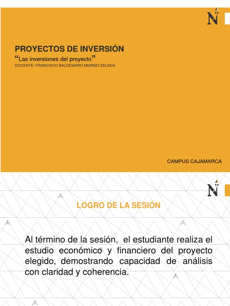 SESIÓN 12. Las Inversiones en El Proyecto | PDF | Presupuesto | Inversiones