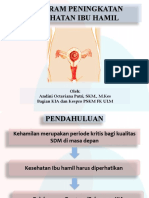 M3 Program Peningkatan Kesehatan Bumil (Andin)