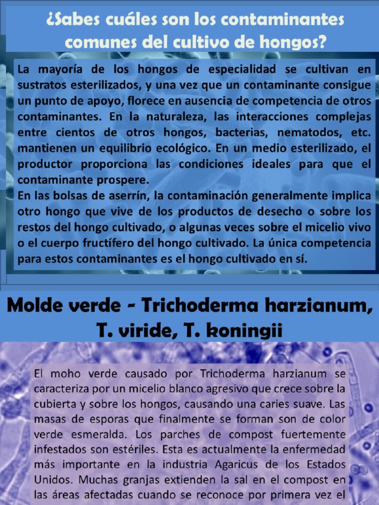 Control de Moho en Cultivo de Hongos | PDF | Compost | Hongo