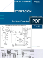 Caustificación - Paracel - Roseni