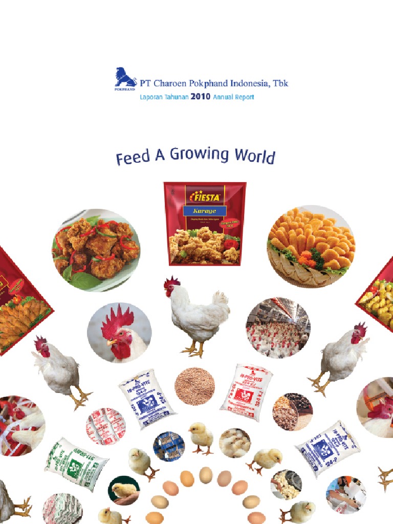 Annual Report Cpin 2010 | PDF