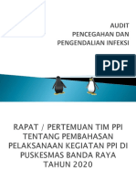 Audit PPI