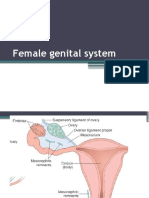 1.female Genital System