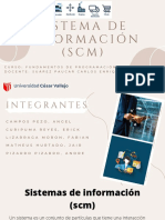 Sistema de Información (SCM)