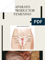 Reproductor Femenino