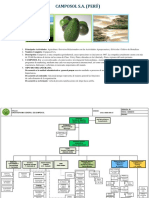 Organigrama de La Empresa CAMPOSOL SA