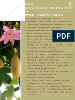 Kiwari - Terapia Floral