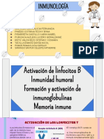Activación de Linfocitos B Inmunidad Hormonal Formación y Activación de Inmunoglobulinas.