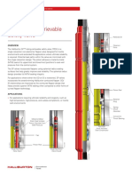 SP Tubing Retrievable Safety Valve (TRSV)