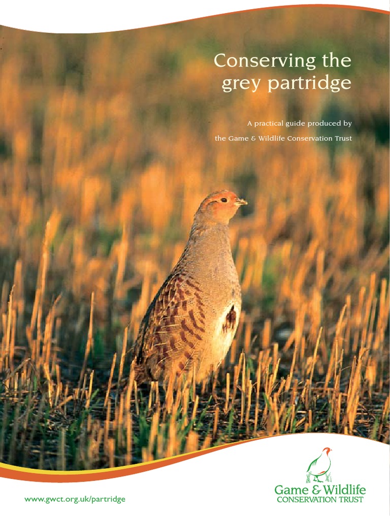 Conserving The Grey Partridge: A Practical Guide Produced by The Game ...