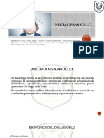 Neuro Des Arrollo