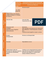 Expresiones Anteriores A La Convención Interamericana de Protección Derechos de Las Personas Mayores V5