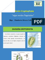 Semana División Cryptophyta