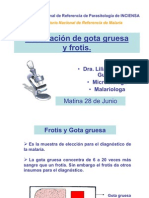 Gota Gruesa