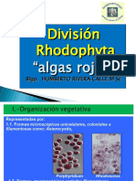 Div. Rhodophyta 2019 1
