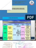 Abordaje de Los Determinantes Sociales de La Salud y Noveles de Atencion en Salud