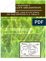 Ruminant Digestion: Figure 1: Anatomy of The Ruminant Stomach