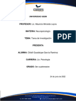 Citlalli Guadalupe García Ramírez - Investigación - Neuropsicologia - Intuición - 24 06 22