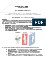 Planos, eixos e articulações do corpo humano