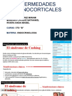 Enfermedades Adrenocorticales