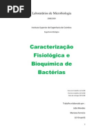 Relatorio de Microbiologia - Caracterização Fisiologica e Bioquimica de Bacterias