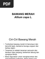 Download BAWANG MERAH by albertshin SN57962399 doc pdf
