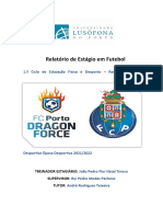 Relatório de Estágio na Dragon Force Gondomar