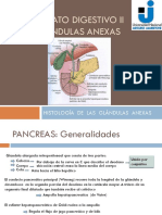 12 - Glandulas Anexas