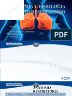 Anatomia Respiratoria