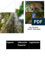 Los árboles del Perú: diversidad, nombres y distribución