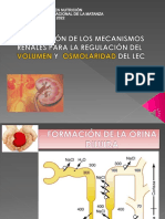 INTEGRACIÓN DE LOS MECANISMOS RENALES PARA LA REGULACIÓNkjk