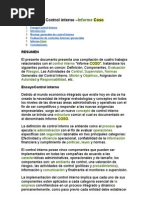 Control Interno (COSO)