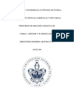 Tarea 4. Mitosis y Su Regulación