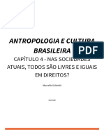 Ant01011 Antropologia e Cultura Brasileira GR0062211 - 202110 - 4