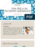 Terapia Física en Pacientes Quemados ESFRE