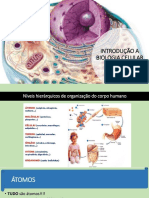 Introdução A Biologia Celular