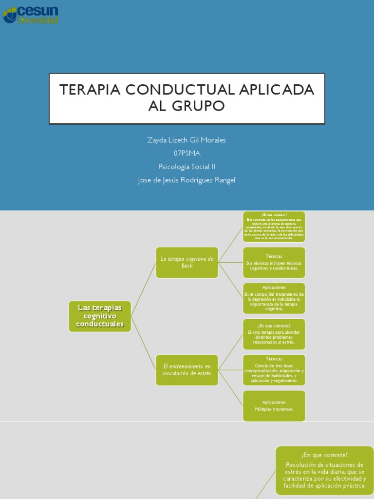 Terapia Conductual en Grupos | PDF | Terapia de conducta cognitiva | Psicoterapia