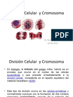 División Celular  y Cromosoma clase3 - copia