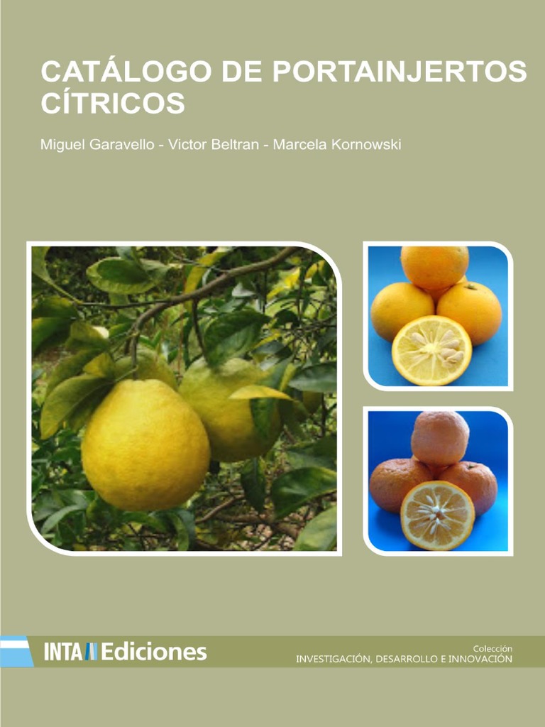 Catálogo de Portainjertos Cítricos | PDF | Limón | Ingredientes de comida