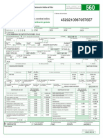 Declaracion Andina - Gasoline Engine