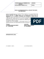 Acta de Designación de Los Representantes Al Copasst Por Parte Del Empleador JVFG CNPM