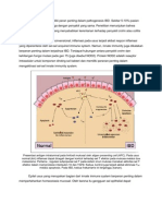 Patofis IBD