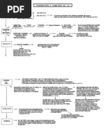 Esquema del Proceso Legislativo en Guatemala | PDF | Veto | Gobierno