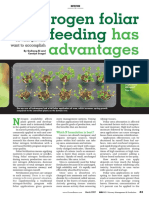 Nitrogen Foliar Feeding: Has Advantages