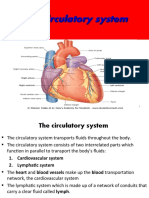 The Circulatory System