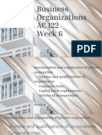 Chapter 5 Consolidated Business Organizations